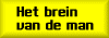 Grafische voorstelling van de mannelijke hersenpan